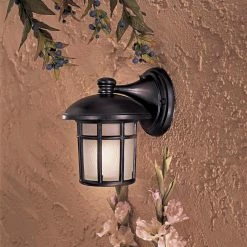 Outlet 🧨 7 - 12 In. Minka Lavery Cranston 825 Wall Mount Light ❤️ -Trans Globe Shop detail2MKA746