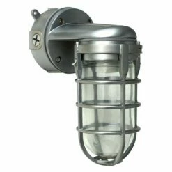 Top 10 👏 7 - 12 In. Woods L1707SVAB Traditional 100W Incandescent Weather Industrial Light 🤩 -Trans Globe Shop detailCOLE481