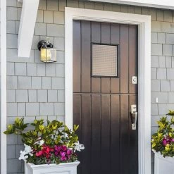 Flash Sale 🔥 7 - 12 In. Design House Coach Indoor/Outdoor Wall Light 🎁 -Trans Globe Shop detailDHIC767