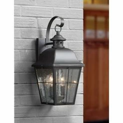 Buy 👍 13 - 18 In. Quoizel Millhouse MHE8409K Outdoor Wall Lantern ⭐ -Trans Globe Shop inuseQUO2284