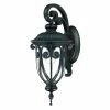 Best reviews of β Acclaim Lighting Inc 13 - 18 In. Acclaim Lighting Naples Outdoor Wall Mount Light Fixture π 2 Best reviews of β Acclaim Lighting Inc 13 - 18 In. Acclaim Lighting Naples Outdoor Wall Mount Light Fixture π -Trans Globe Shop masterACCL181