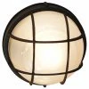 Brand new 😉 Trans Globe Lighting 7 - 12 In. Trans Globe 41515 Round Bulkhead Wall Light - 10H In. 🔥 -Trans Globe Shop masterBRL1243