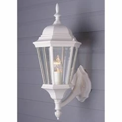 New ✔️ 19 - 24 In. Trans Globe Lighting San Rafael 4250 Outdoor Wall Lantern 👏