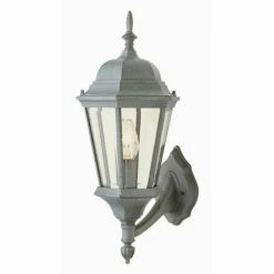Outlet 🎉 Trans Globe Lighting 19 - 24 In. Trans Globe 4250 BG Coach Lantern - Black Gold - 9W In. ✔️