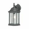 Cheapest 😉 13 - 18 In. Thomas Lighting Hawthorne Outdoor Wall Lantern ❤️ -Trans Globe Shop masterELI10871