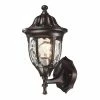 Hot Sale 🧨 13 - 18 In. ELK Lighting Glendale 45000/1 1-Light Outdoor Wall Sconce 🥰 -Trans Globe Shop masterELI3148