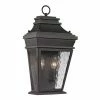 Brand new 🛒 13 - 18 In. ELK Lighting Forged Provincial 47052/2 2-Light Outdoor Wall Sconce 🔥 -Trans Globe Shop masterELI3204
