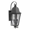 Hot Sale 🔥 25 - 30 In. ELK Lighting Forged Brookridge 47102/3 3-Light Outdoor Wall Sconce 😀 -Trans Globe Shop masterELI3217