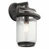 Budget 👍 13 - 18 In. Kichler Andover Outdoor Wall Light 🔔 -Trans Globe Shop masterKIC6531