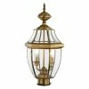 Best reviews of 🧨 Livex Lighting 19 - 24 In. Livex Monterey 2254 Wall Lantern 21.5H In. 🥰 -Trans Globe Shop masterLXL229