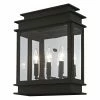 Top 10 ⭐ 13 - 18 In. Livex Lighting Princeton 20204 Outdoor Wall Lantern ⭐ -Trans Globe Shop masterLXL3010