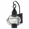 New 🌟 Livex Lighting 19 - 24 In. Livex Newburyport 26904 Outdoor Wall Lantern ⭐ -Trans Globe Shop masterLXL3017