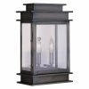 New ✨ Livex Lighting 13 - 18 In. Livex Princeton 2016-29 Outdoor Wall Lantern - 15.25H In. - Vintage Pewter 🔥 -Trans Globe Shop masterLXL382