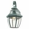 Promo ✔️ Livex Lighting 13 - 18 In. Livex Monterey 215 Outdoor Wall Lantern - 8.5W In. ✨ 2 Promo ✔️ Livex Lighting 13 - 18 In. Livex Monterey 215 Outdoor Wall Lantern - 8.5W In. ✨ -Trans Globe Shop masterLXL940