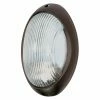 Buy 🎉 7 - 12 In. Nuvo 526 11 In. Large Oval Light 🤩 -Trans Globe Shop masterNVO1143