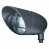Budget 🔔 7 - 12 In. Nuvo 13 In. Landscape Flood PAR30 Flood Light 🎁 -Trans Globe Shop masterNVO1150