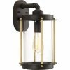 Cheap 🥰 13 - 18 In. Progress Lighting Laine Outdoor Wall Lantern 😍 -Trans Globe Shop masterPROR639