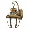 Cheap 🤩 13 - 18 In. Quoizel Newbury NY831 Outdoor Wall Lantern ✨ -Trans Globe Shop masterQUO1302