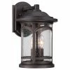 Brand new 😀 13 - 18 In. Quoizel Marblehead MBH8409PN Outdoor Wall Lantern 😍 -Trans Globe Shop masterQUO2232