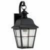 Best Pirce 🤩 13 - 18 In. Quoizel Millhouse MHE8406K Outdoor Wall Lantern ✔️ -Trans Globe Shop masterQUO2283