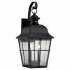 Buy 👍 13 - 18 In. Quoizel Millhouse MHE8409K Outdoor Wall Lantern ⭐ -Trans Globe Shop masterQUO2284