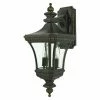 Hot Sale 🧨 19 - 24 In. Quoizel Devon DE8976IB Outdoor Hanging Wall Lantern 👍 -Trans Globe Shop masterQUO249
