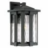 Flash Sale ⭐ 7 - 12 In. Quoizel Everglade EVG84 Outdoor Wall Sconce 😀 -Trans Globe Shop masterQUO3134