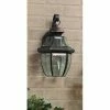 Top 10 ✨ 7 - 12 In. Quoizel Newbury NY8315Z Outdoor Wall Lantern ⌛ -Trans Globe Shop masterQUO324