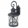 Deals 🛒 19 - 24 In. Yosemite Home Decor Mahony 5041BL Outdoor Wall Sconce ✨ -Trans Globe Shop masterYOSE1202