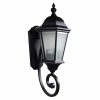 Best Sale 🌟 19 - 24 In. Yosemite Home Decor FL5124BL Outdoor Wall Light 🥰 -Trans Globe Shop masterYOSE1462